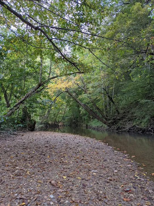 King's Holly Haven RV Park 5