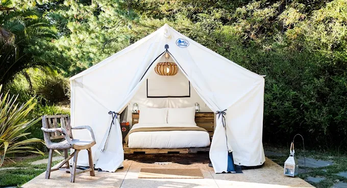 Holy Smokies RV Park & Glamping 4