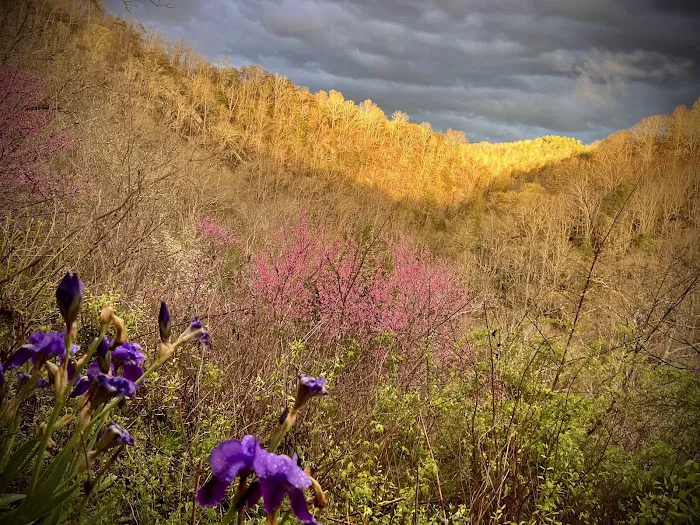 Mountain Paradise 3