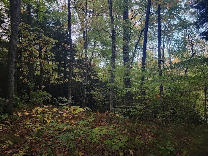 Carolina Hemlocks Recreation Area 7