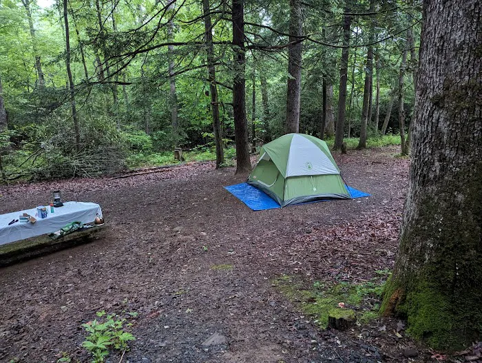 Carolina Hemlocks Recreation Area 6