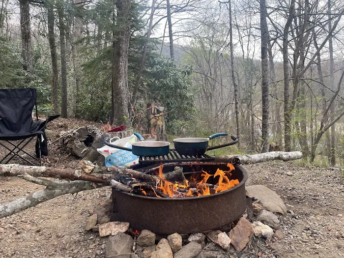Carolina Hemlocks Recreation Area 5
