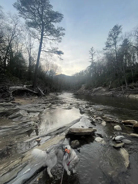 Carolina Hemlocks Recreation Area 9