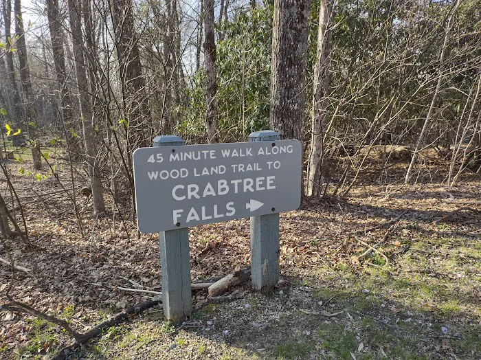 Crabtree Falls Campground 4