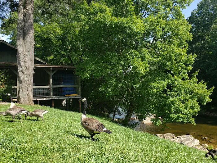 Yancey County Toe River Campground 6
