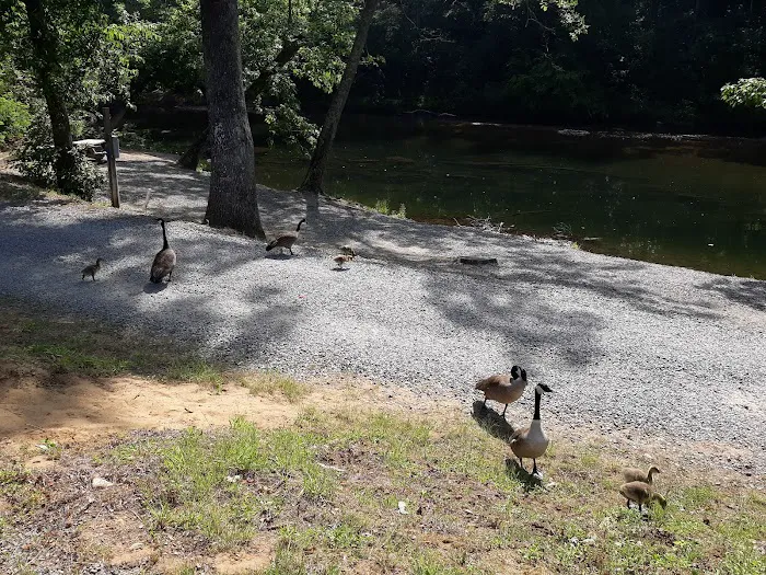 Yancey County Toe River Campground 8