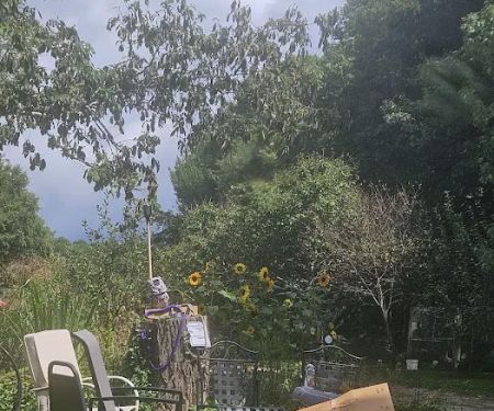 Little Switzerland Cider and Brewery