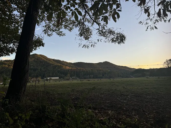River Cove Campground 4