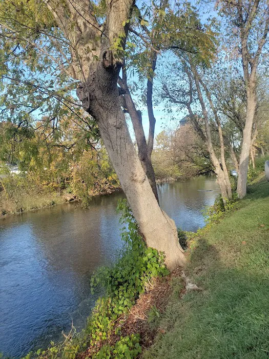 Riveredge RV Park and Log Cabin Rentals 10