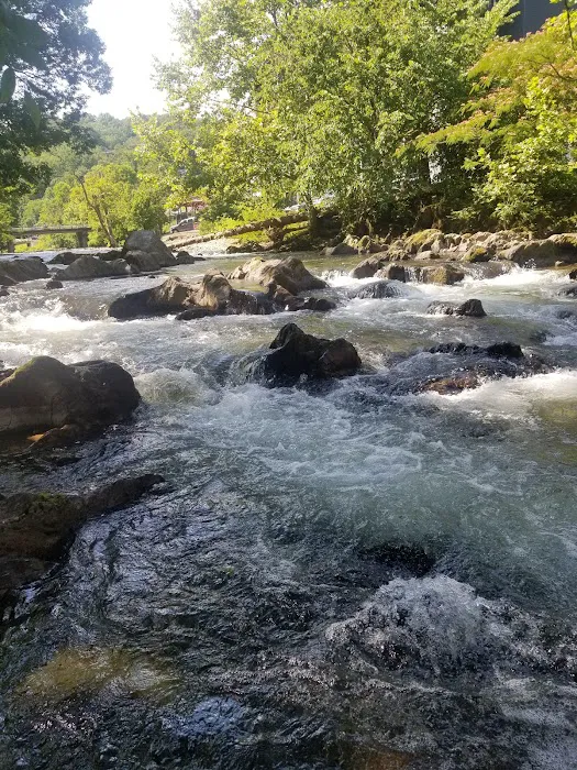 Riveredge RV Park and Log Cabin Rentals 9