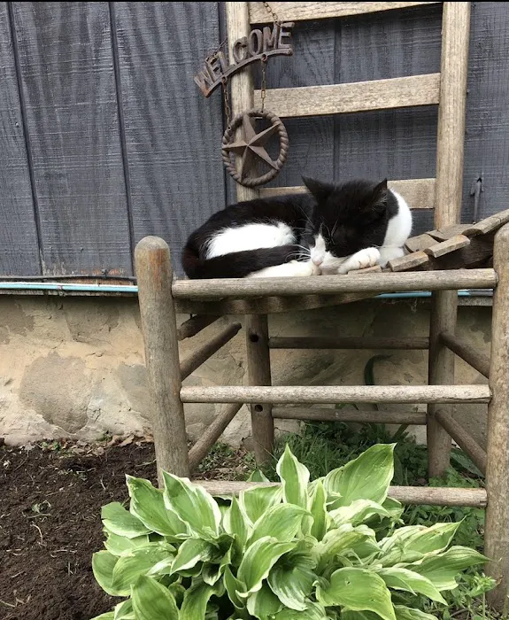 Skip A Stone Farm 4