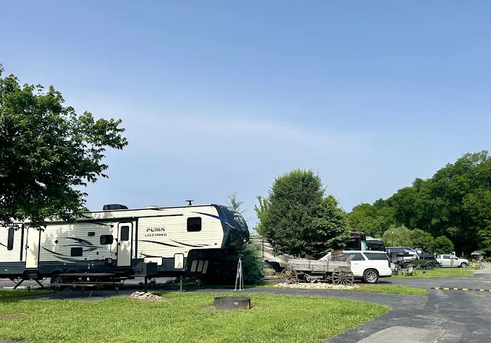 Buddy Bear in the Smokies RV Campground 3