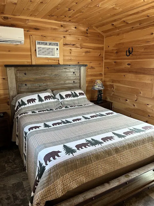 Buddy Bear in the Smokies RV Campground 2