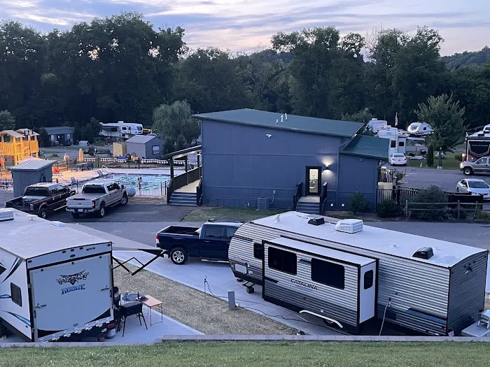 Buddy Bear in the Smokies RV Campground 6
