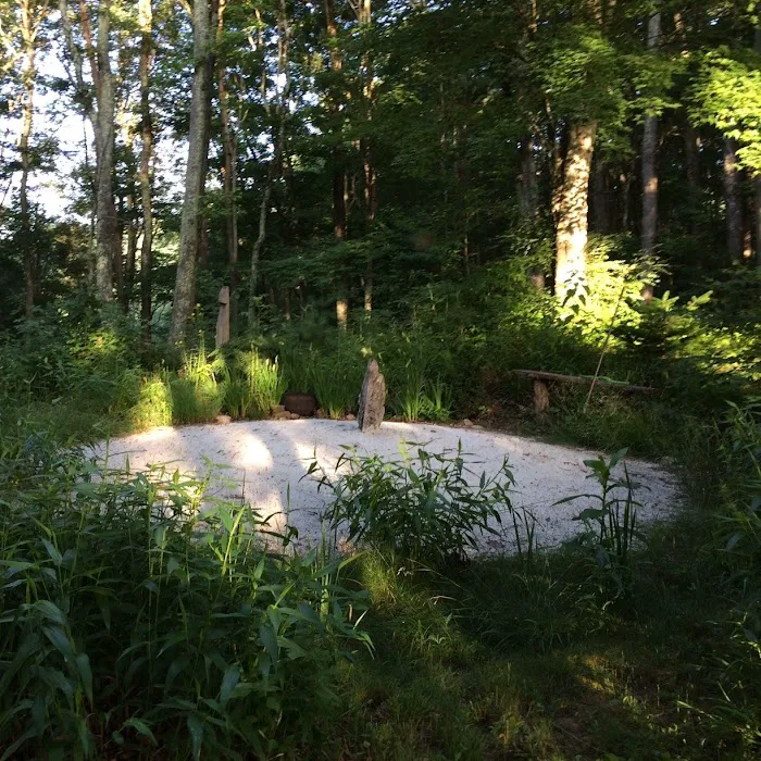 Green Heart Forest 2