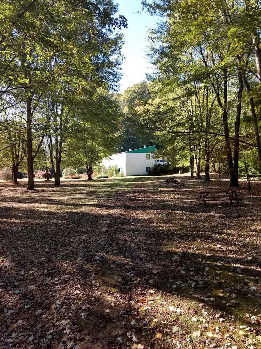 Meadow Fork Campground 2