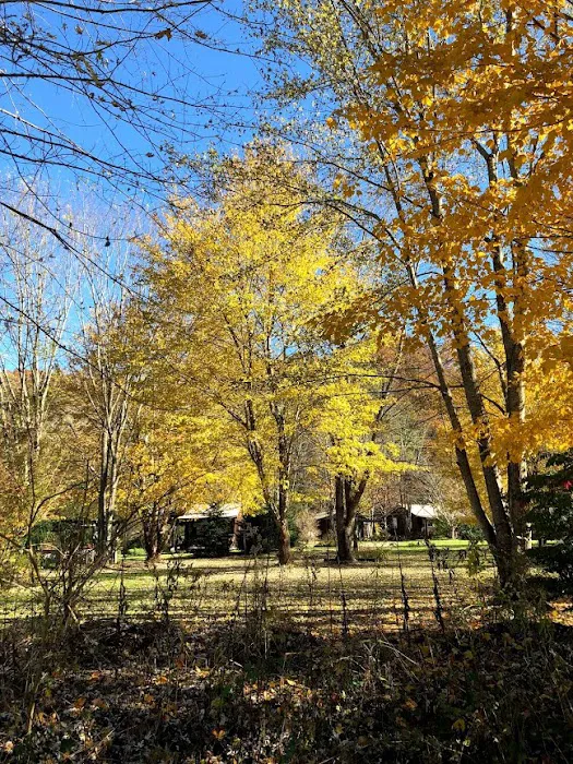 Meadow Fork Campground 4