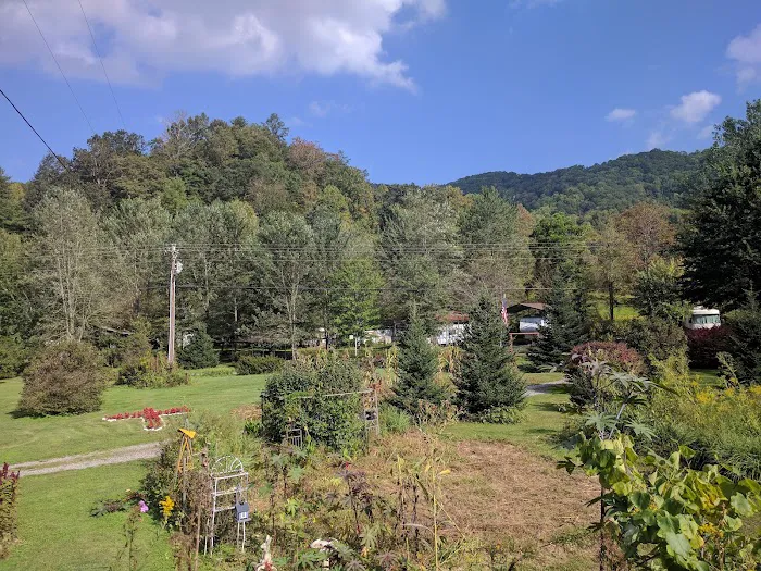 Meadow Fork Campground 8
