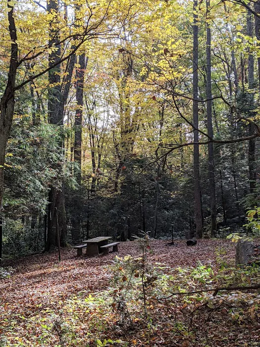 Round Mountain Campground 3