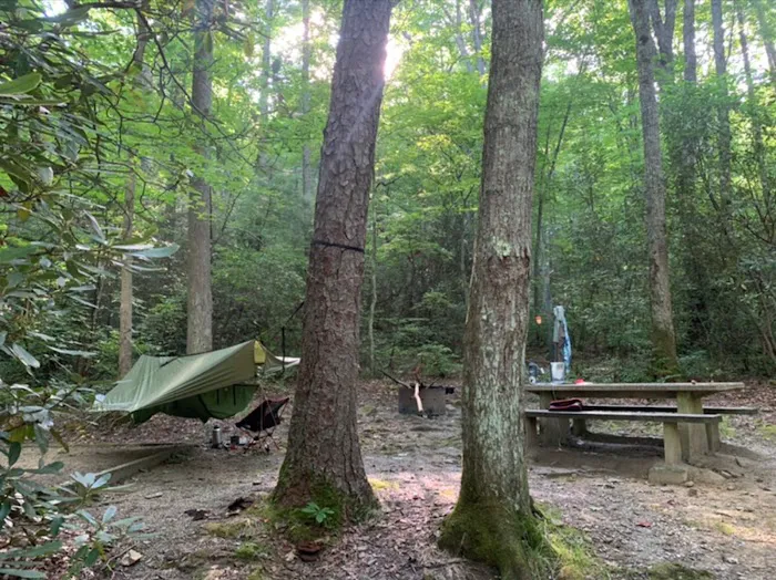 Round Mountain Campground 2