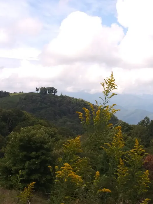 Round Mountain Campground 10