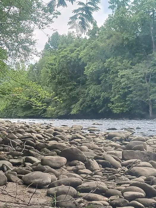 The River Life 1