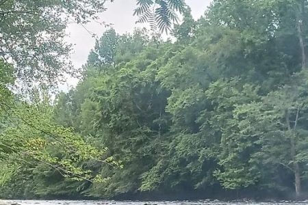 The River Life