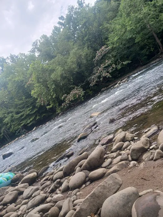 The River Life 5