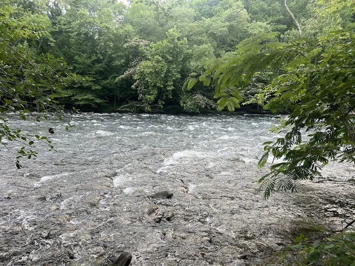 The River Life 3