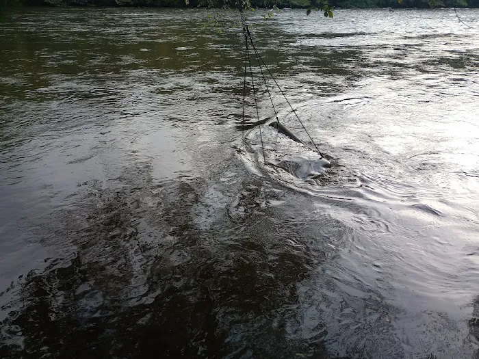 The River Life 4