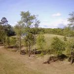 Great Smoky Mountain Vista Campground