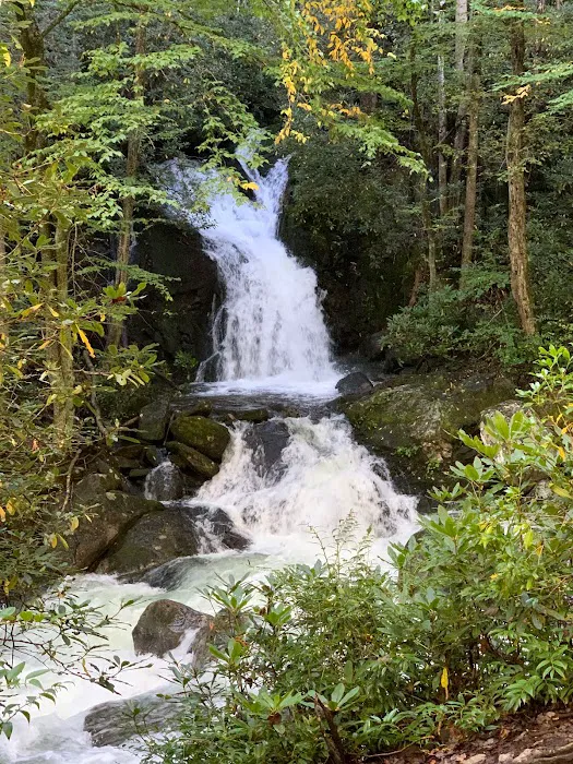 Triple Creek Campground 9