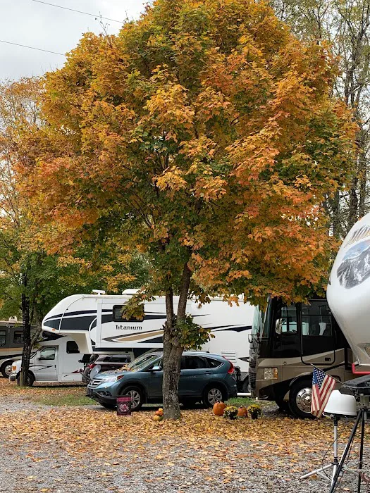 Triple Creek Campground 10