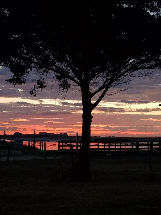 Waterway Campground 10