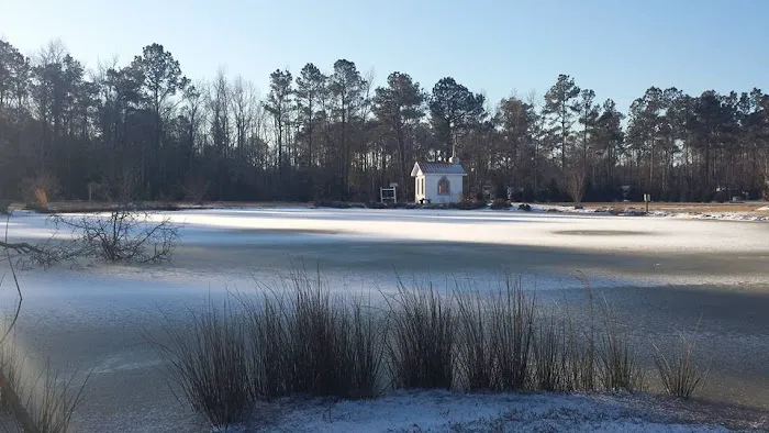 Carrollwoods RV Campground & Vineyard 4