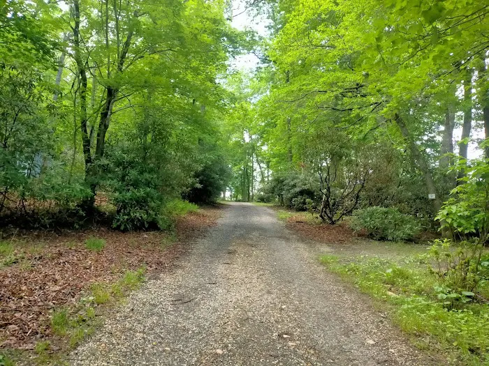 Spruce Pine Campground 6