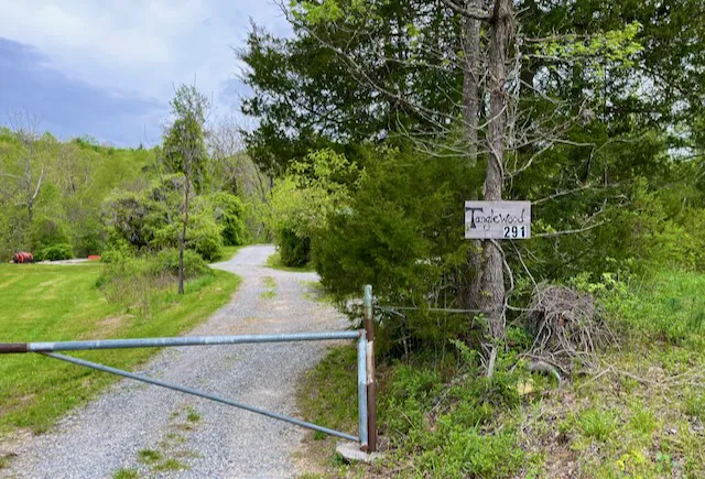 Tanglewood Campground 5