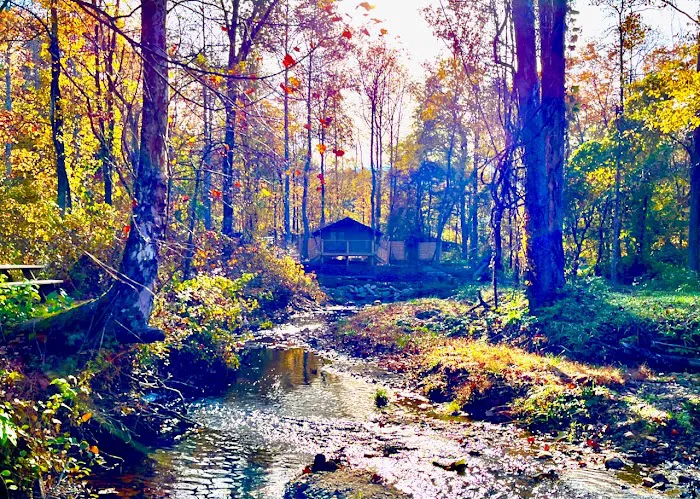 Tanglewood Campground 4