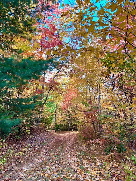 Tanglewood Campground 6