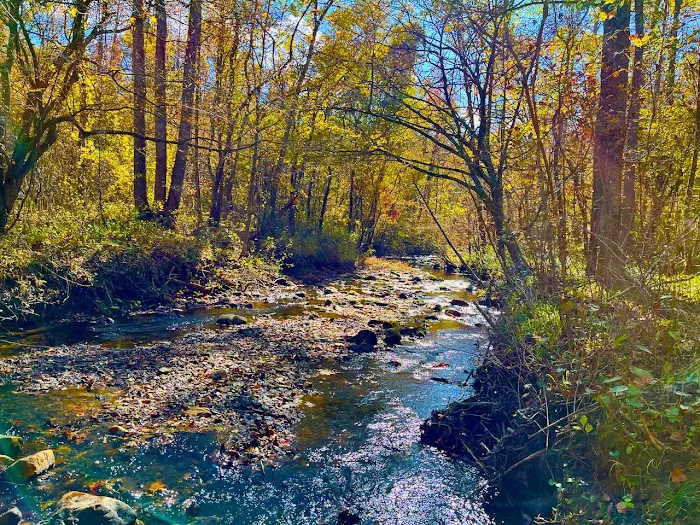 Tanglewood Campground 3