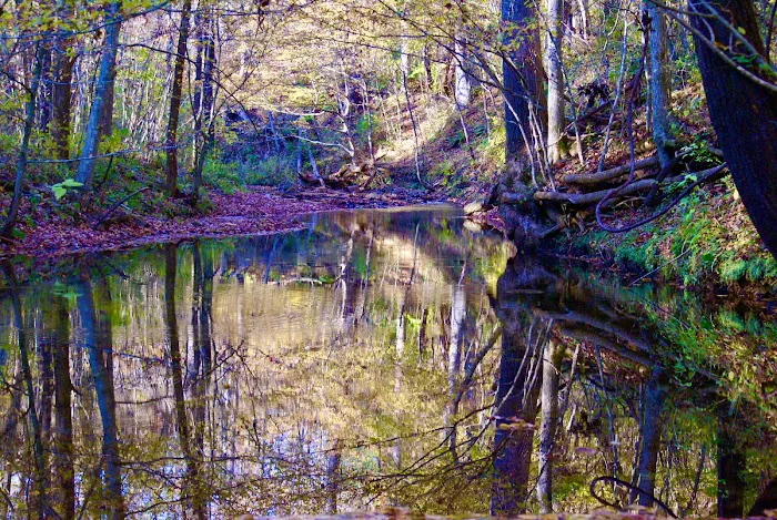 Tanglewood Campground 8