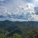 Backcountry campsite #317