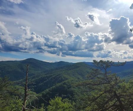 Backcountry campsite #317