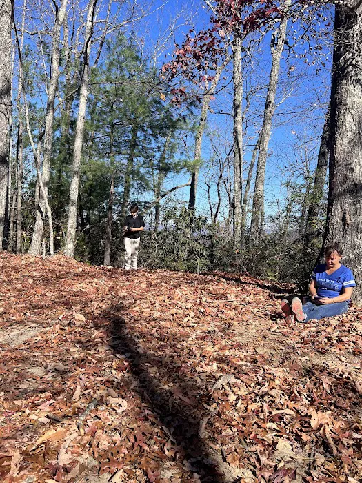 Backcountry campsite #317 3