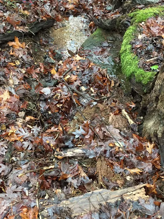 Mortimer Campground Picnic Shelter 9