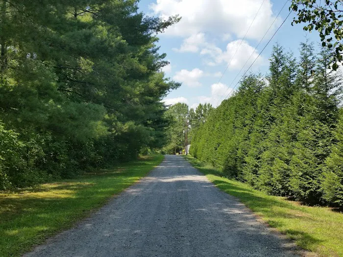 Whispering Pines Trailer Park 9