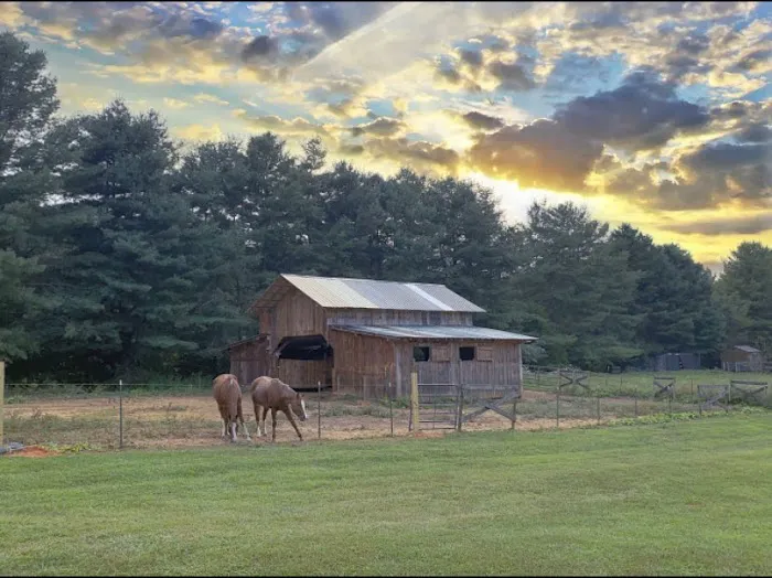 Holly Ridge Family Camp Ground 9