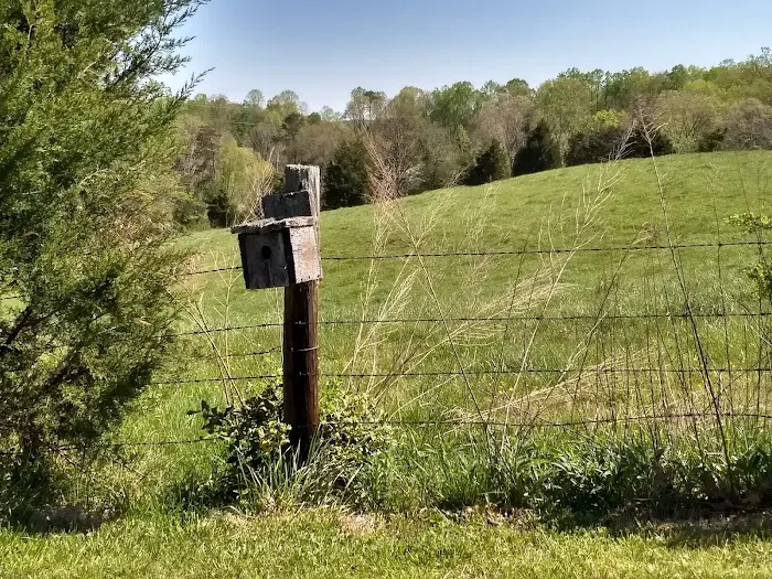 Holly Ridge Family Camp Ground 7