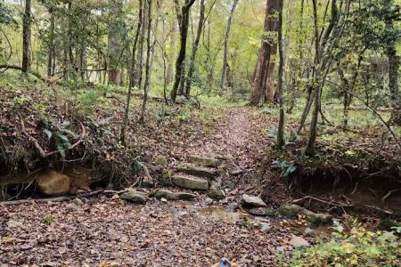 Pilot Mountain State Park Canoe-In Campsites