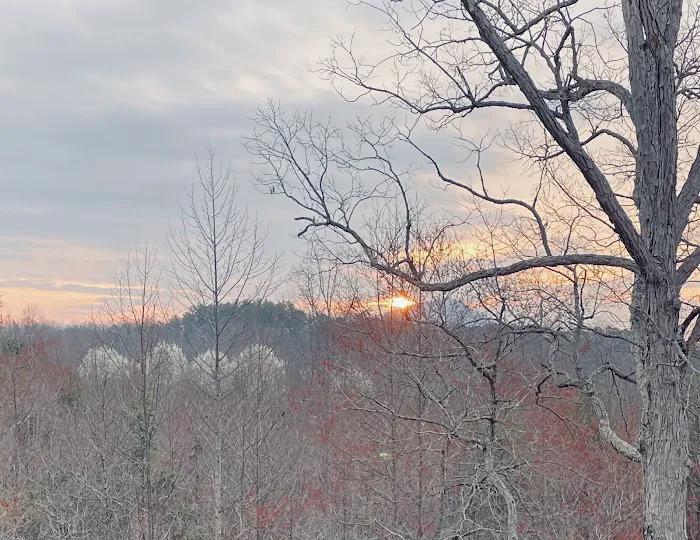 Carls Campsites 5